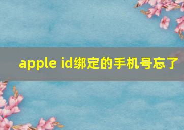 apple id绑定的手机号忘了